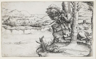 Caccia alle anatre con armi da fuoco, 1545 da Augustin Hirschvogel