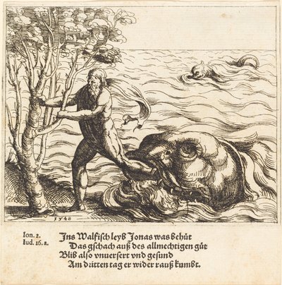 Giona è liberato dalla balena, 1548 da Augustin Hirschvogel