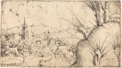 Paesaggio con una città a sinistra da Augustin Hirschvogel