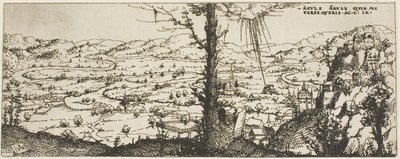 Paesaggio con un albero al centro del primo piano da Augustin Hirschvogel