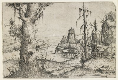 Grande albero e castello su un lago da Augustin Hirschvogel
