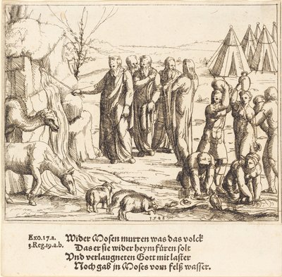Mosè colpisce la roccia da Augustin Hirschvogel