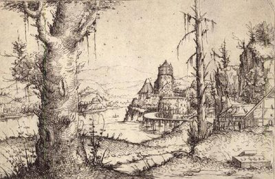 Paesaggio fluviale con un albero robusto da Augustin Hirschvogel
