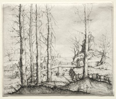 Paesaggio fluviale con cinque abeti spogli in primo piano da Augustin Hirschvogel