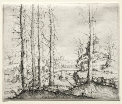 Paesaggio fluviale con cinque abeti spogli in primo piano, 1549 da Augustin Hirschvogel