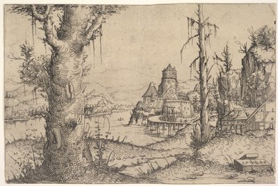 Paesaggio Fluviale con Grande Albero a Sinistra da Augustin Hirschvogel