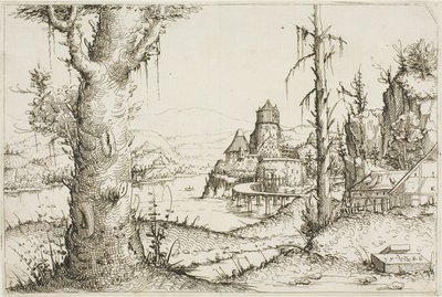Paesaggio fluviale con grande albero in primo piano da Augustin Hirschvogel