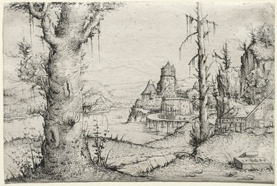 Paesaggio fluviale con grande albero a sinistra da Augustin Hirschvogel