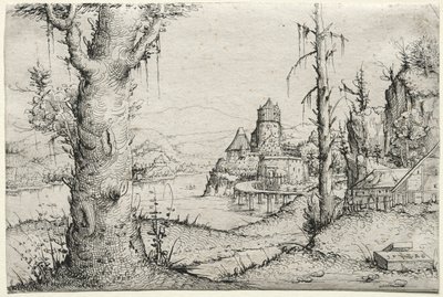 Paesaggio fluviale con grande albero a sinistra da Augustin Hirschvogel