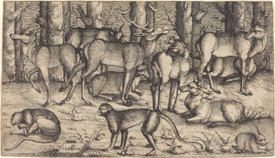 Cervi nella foresta da Augustin Hirschvogel