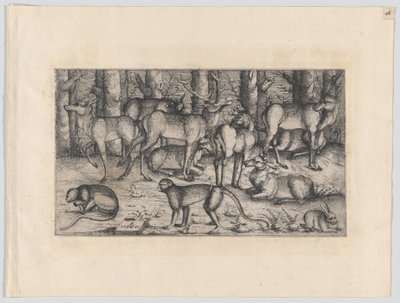 Cervi nella foresta, 1545 da Augustin Hirschvogel