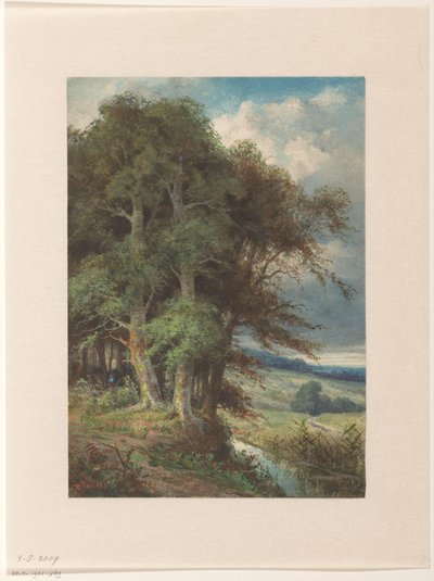 Alberi alti lungo un ruscello da Augustin Taurel