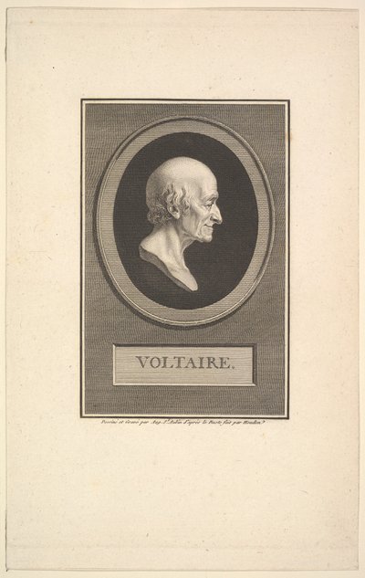 Ritratto di Voltaire, 1801 da Augustin de Saint Aubin