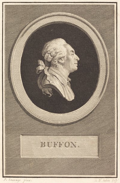 Buffon da Augustin de Saint Aubin after Piat Joseph Sauvage
