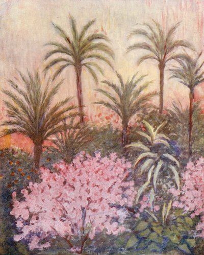 Un palmeto a Murcia (litografia a colori) da Augustine Fitzgerald