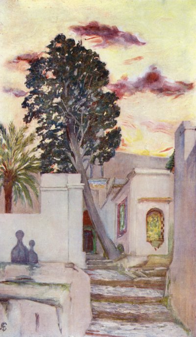 Ingresso della Moschea di Sidi, Abd-Er-Rahman (litografia a colori) da Augustine Fitzgerald