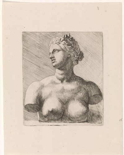 Busto di Venere de