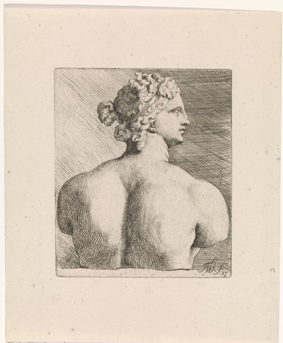 Busto di Venere de