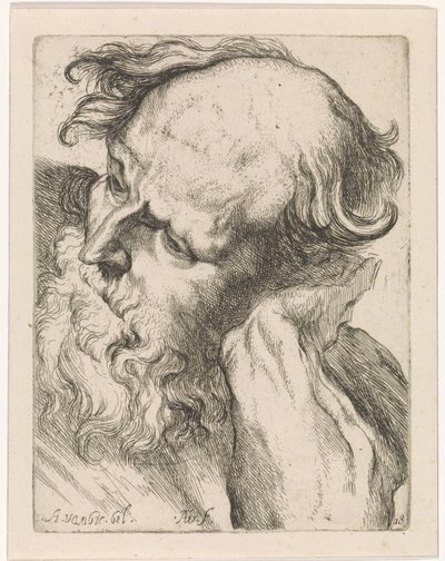 Testa di un vecchio (Giuseppe) da Augustinus Terwesten (I)