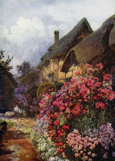 Phlox e alti standard di Dorothy Perkins Rose al Cottage di Ann Hathaway, Stratford-on-Avon da Augustus Charles Wyatt
