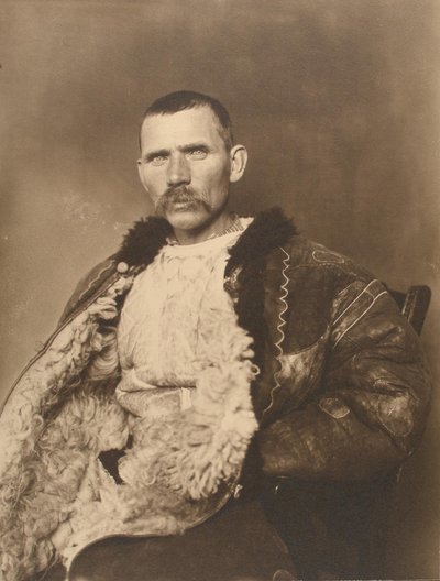 Pastore rumeno, c.1910 da Augustus F. Sherman