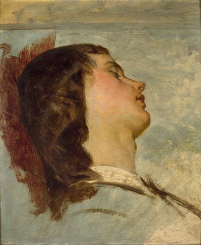 Studio preparatorio per 