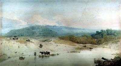 Veduta nello Yorkshire, fiume e bestiame da Augustus Wall Callcott