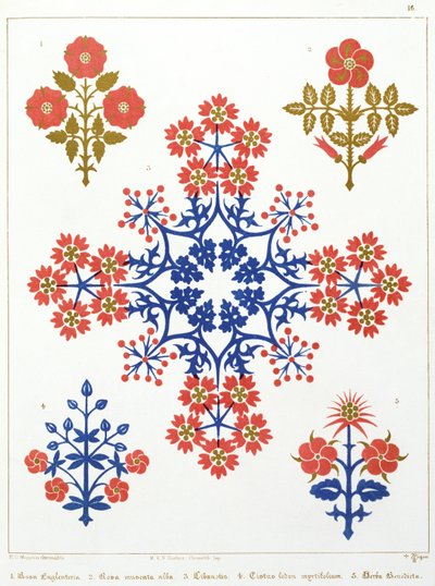 Motivo di violetta, iris e tulipano, design per carta da parati, stampato da M. und N. Hanhart da Augustus Welby Northmore Pugin
