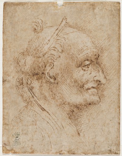 Vecchia testa di volta a destra, XVI secolo da Aurelio Luini