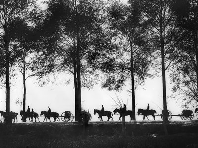 Una vista, in silhouette, di limbers d