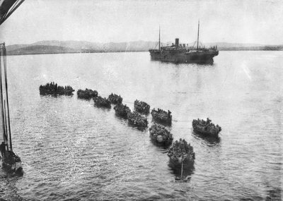 Truppe australiane trainate a riva su chiatte per sbarcare ad Anzac Cove, Gallipoli. Sullo sfondo la nave da trasporto, 1915 da Australian Photographer
