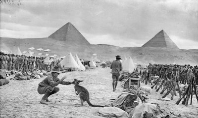 File del 9° e 10° Battaglione australiano al campo di Mena, guardando verso le Piramidi, dicembre 1914 da Australian Photographer