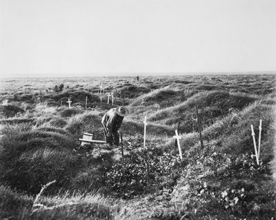 Vista di tombe australiane sparse lungo la linea OG1 sul campo di battaglia di Pozieres, 16 settembre 1917 da Australian Photographer