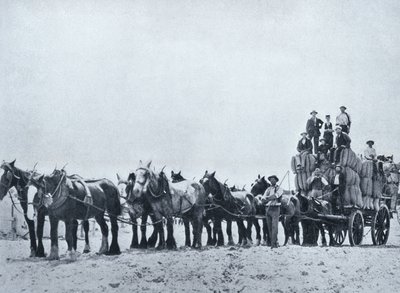 Squadra di trasporto della lana, Australia occidentale, c.1900, da 