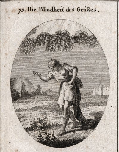 Allegoria della cecità mentale. Un giovane guarda i fiori in un prato alludendo alle delizie della terra che riempiono l