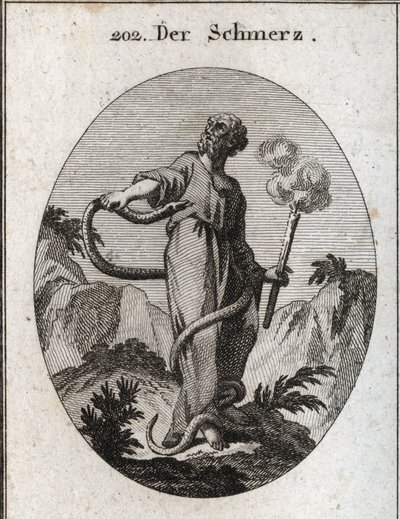 Allegoria del dolore. Un serpente mostruoso avvolge chi, dopo aver legato i suoi piedi, sale sul suo corpo e cerca di mordergli il cuore. Tiene una torcia che ancora fuma, il che significa che l