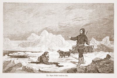 Il dottor Repes cade attraverso il ghiaccio, 1876 da Austrian School