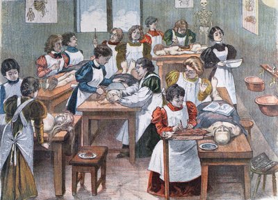 Studentesse in un istituto di anatomia a New York, 1897 da Austrian School