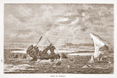 Lotta con il tricheco, 1876 da Austrian School