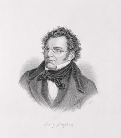Ritratto di Franz Schubert da Austrian School