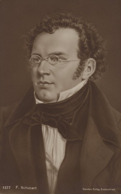 Ritratto di Franz Schubert da Austrian School
