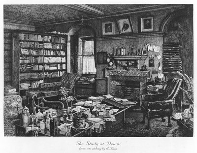 Lo studio a Down, pub. 1882 (incisione) da Axel (after) Haig