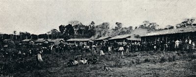 Colonia Italiana Fazenda Arindiuba, 1895 da Axel Frick