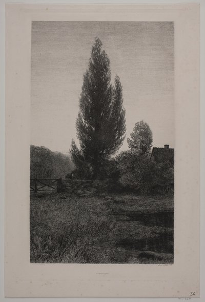 Danese: Sommeraften da Axel Holm