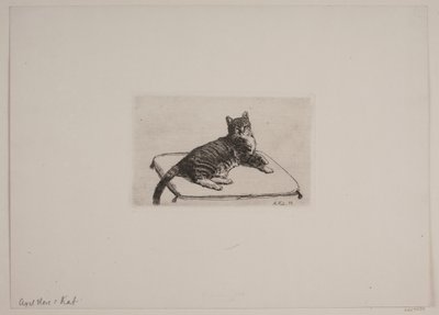 Danese: Gatto reclinato da Axel Hou