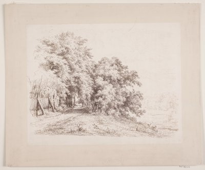 Strada di ghiaia tra alberi e prati da Axel Schovelin