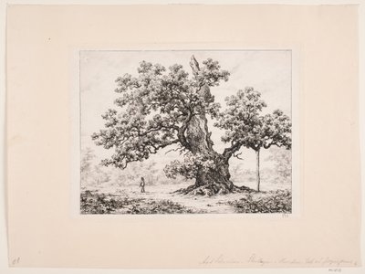 Quercia delle cicogne. Jægerspris da Axel Schovelin