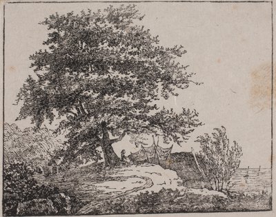 Albero su una scogliera vicino al mare da Axel Theodor Kittendorff