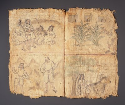 Codice Techialoyan, Coyotepec Coyonazco, Messico da Aztec