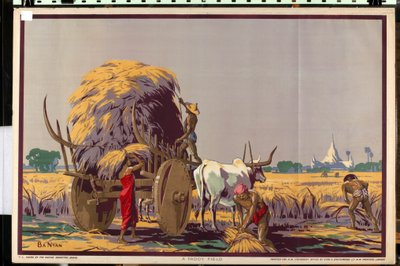 Un campo di riso, dalla serie 